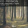 Meloncholy (Original Mix) - Ed Prymon