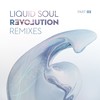 Conciousness (Jano & Solaris Remix) - Liquid Soul