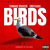 BIRDS (feat. CODY NASH) (Explicit) - STRANGE SPENCER&Cody Nash