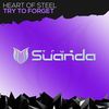 Try To Forget (Original Mix) - Heart Of Steel