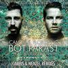 Bot Parast (Cambis & Wenzel Ambient Mix) - Cambis&Florzinho