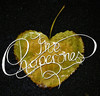 Strangers - Chaperones THE