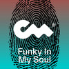 Funky In My Soul - Veni Midi&Mitchell Austin&Kris Bradley&Piotr Stempniewicz&Closer Music