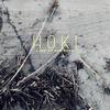Land of Our Dead (Matthias Meyer Remix) - Hoki