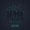 Cost You (feat. Poloroid Blu) (Explicit) - DJ Rich&Poloroid Blu