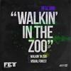 Walkin' In Zoo (Original Mix) - RFSC Bro