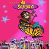 Mixed Emotions(feat. DeeAyee) (Explicit) - 501nificent&DeeAyee