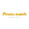 Privesc Inainte (Extended) - George Hora&Studio 66