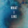 What I Like - Valter Gonçalo