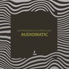 Audiomatic (Original Mix) - ElectroBongo&Following Light