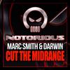 Cut The Midrange (Original Mix) - Marc Smith&Darwin