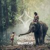 Vedanta (Original Mix) - Wanttall