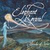 Shadows Passed - Elephant Revival