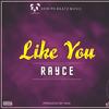 Like You - Rayce