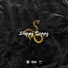 Sloppy Toppy (Explicit) - Carvo Cardo&Dj Syrup&The Hillbrow Virgins&VenomRaps