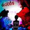 ANGELS & DEMONS (Explicit) - WOOD$