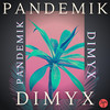 Pandemik (Radio Edit) - Dimyx