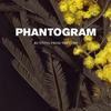 Running From The Cops (Instrumental) - Phantogram