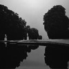 Trophies - Luxury