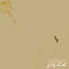 Walk (Explicit) - Metaxas
