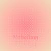 Disruption Safe - Mohit Roey