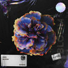 Bloom - ODD