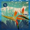 Jingo - ADDFX&DOOD