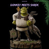 Donkey Meets Shrek - Dilshan RND