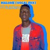 Malome (feat. SabXero) - Deejay NeshSA&SabXero