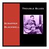 Down South Blues - Scrapper Blackwell