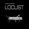 Locust (Original Mix) - Rita Gherz