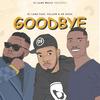 Goodbye(feat. Fellow & Dr Duda) - DJ Lane&Dr Duda&Fellow