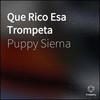 Que Rico Esa Trompeta (Dayvi Remix) - Puppy Sierna
