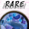 Rare (Explicit) - Ryodan&young darhi&Matías Ignacio Torres Montanares