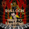 I Know (Original Mix) - Shall Ocin