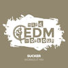 Sucker (Workout Mix Edit 140 bpm) - Hard EDM Workout