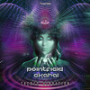 Sacred Vibration (V.2) - Pointfield&Ekahal