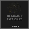 Partícules - Blaumut