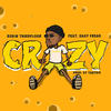 Crazy - Robin Thirdfloor&Easy freak