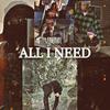 All I Need (Explicit) - SelfPaidlol