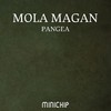 Pangea (Frost Galaghan, Paul Allen Remix) - Mola Magan