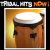 Bongo Guitar - Georgia