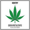 Smoking Blunts (Pushloop Remix) - Abstrakt Sonance&Substance&Pushloop