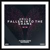 Fallen Into the Shame - 4Rule