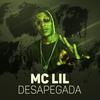 Desapega - MC Lil