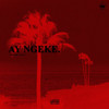 Ay Ngeke (Explicit) - Irie Efil&Pro-killer&Seez