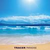 Heartbreaker - Tracer