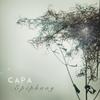 Weakness - Capa