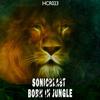 Born In Jungle (Original Mix) - Sonicblast