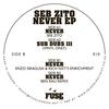 Never (Ben Rau Remix) - Seb Zito